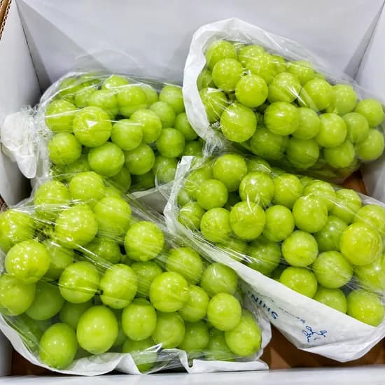 산들청과 가정용 샤인머스켓, 4-5수, 2kg, 1박스