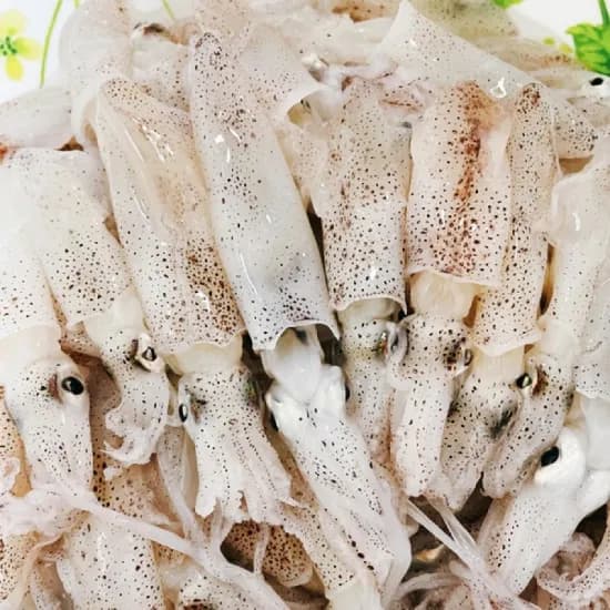 국내산 급냉 호래기 꼴뚜기 횟감용 숙회용 500g 1개