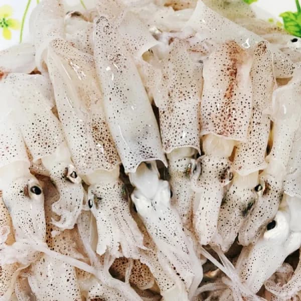 국내산 급냉 호래기 꼴뚜기 횟감용 숙회용 1kg