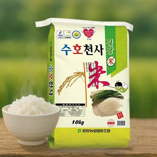 흥양농협 수호천사 건강미 햅쌀 단일품종 10kg 1개