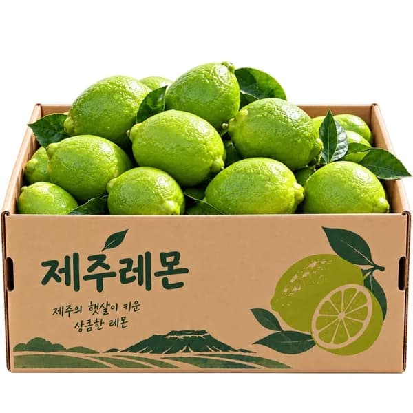 껍질까지 먹는 제주 레몬 2.5kg 1박스 26,259원