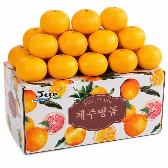 진과원 제주 정품 하우스 감귤 대과, 10kg, 1개