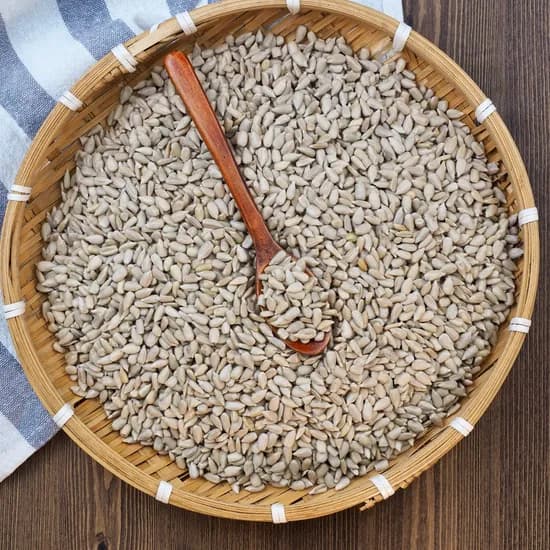 불가리아 해바라기씨 1kg 1봉