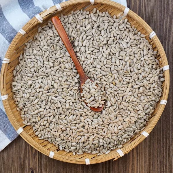 불가리아 해바라기씨 1kg 5봉