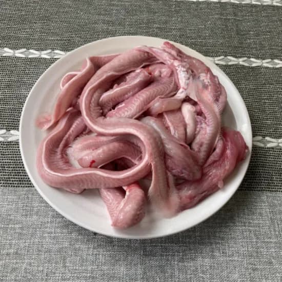 국내산 생물 꼼장어 600g 1팩