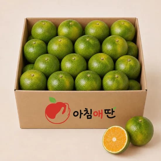 제주 극조생 노지감귤, 로얄과, 5kg, 1박스