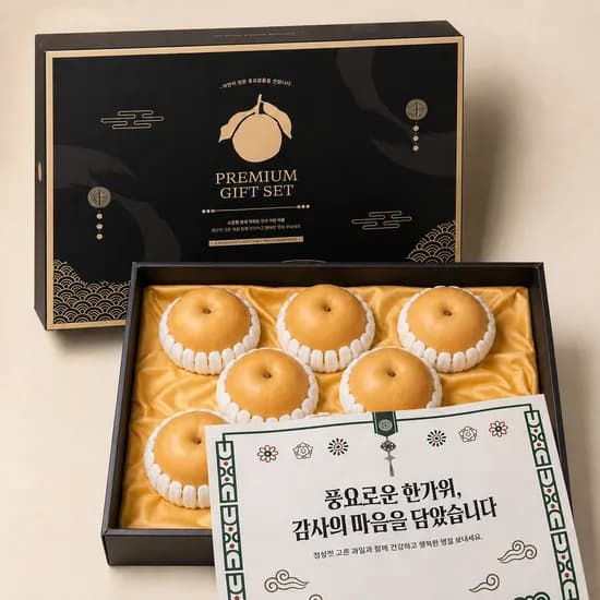 국내산 배 선물세트 대과 개별망포장 5kg 1박스