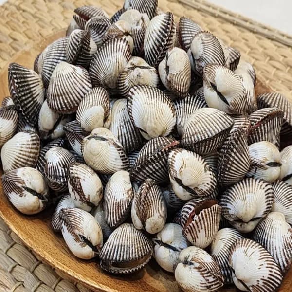국내산 벌교 새꼬막 중 2kg