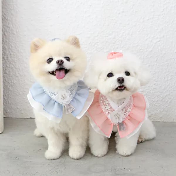 수정꽃 한복케이프 블루 L 1개 29,000원
