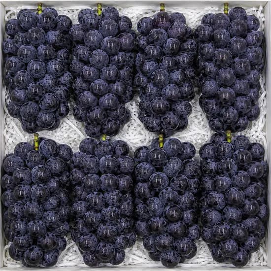 캠벨포도 특품 2kg 1박스