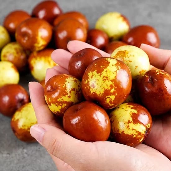 햇 사과대추 산지직송 500g 1개