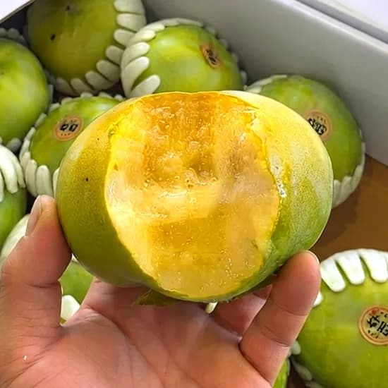 햇 태추감 특품 대과 2kg 1개