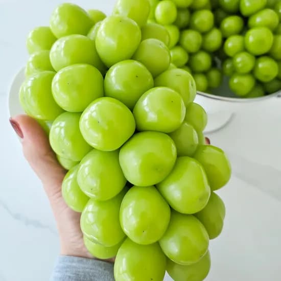 명월청과 샤인머스켓 2kg 1개 28,000원