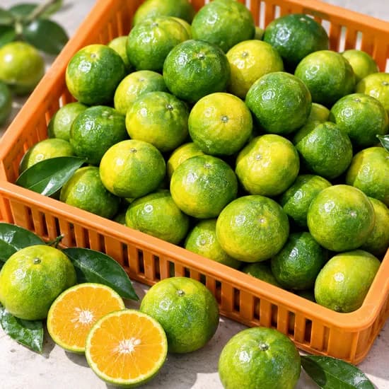 제주 극조생 감귤 햇귤 중대과 3kg 1박스