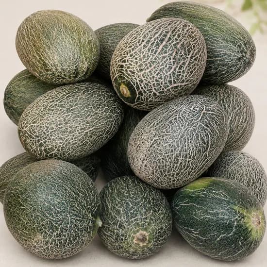 오늘담 하미과메론 국내산 주황빛 과육 4kg 1박스
