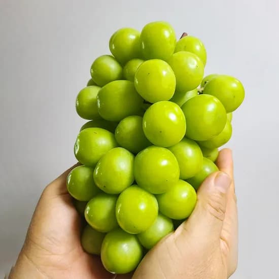 샤인머스켓, 2kg, 1개