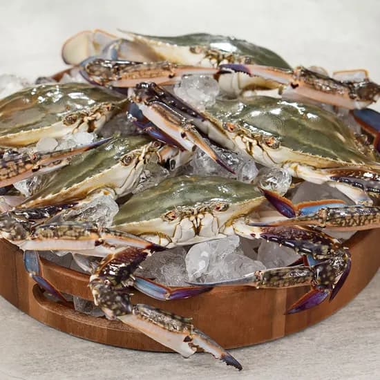 서해안 생물 활숫꽃게 2kg 1박스