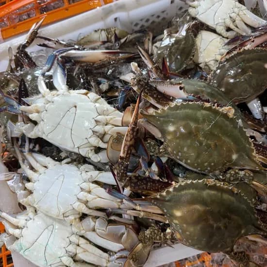 서해안 활 숫꽃게, 대짜, 2kg, 1개