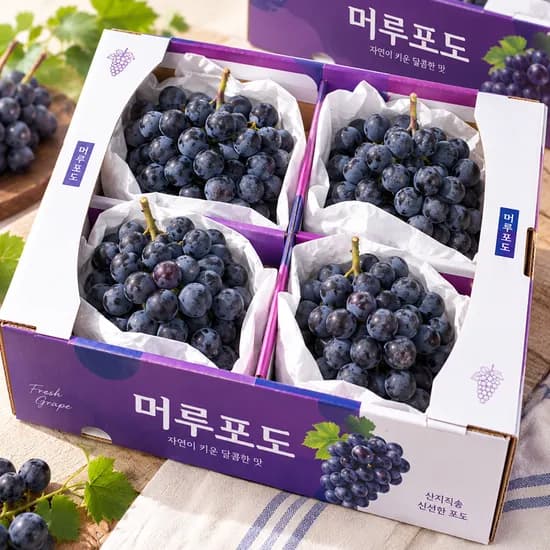 국내산 머루 포도 특품 1kg 1박스