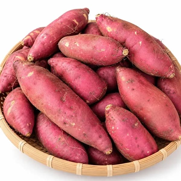국내산 고도700 밤고구마 3kg