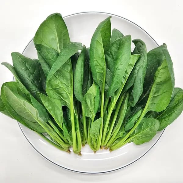 국내산 시금치 1kg 1박스