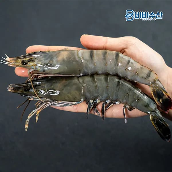 냉동 킹타이거새우 8마리 500g 2개 31,900원