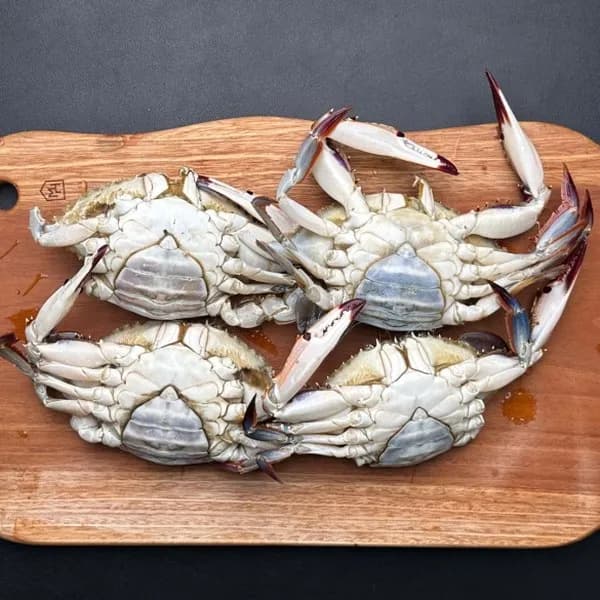 국내산 급냉 암꽃게 1kg