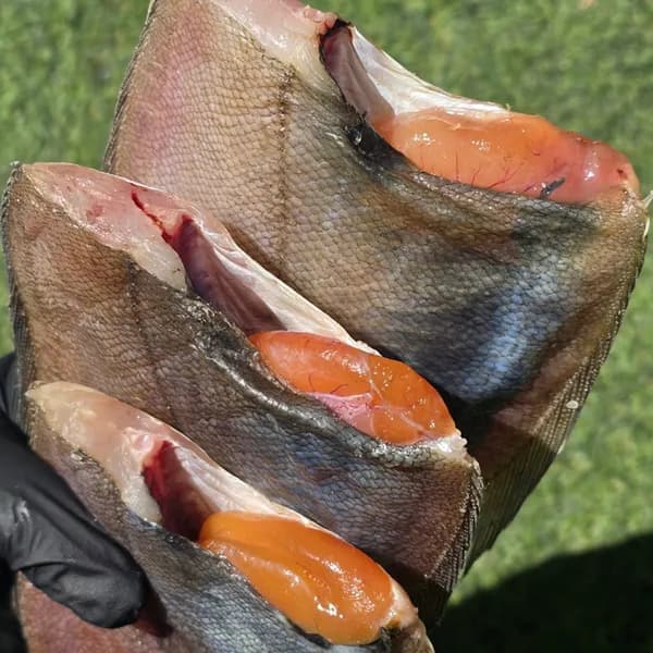 서해안 반건조 무염 특대 황금 알가자미 650g 3미 1박스