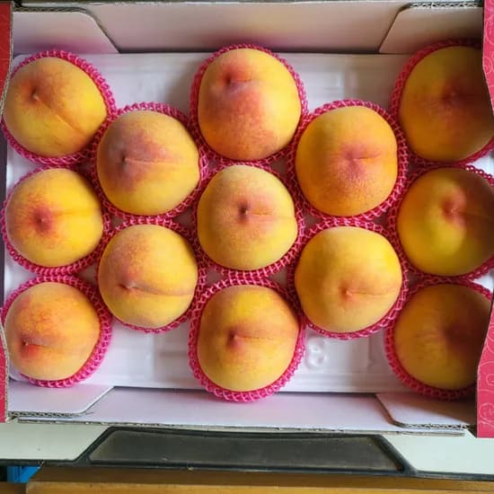 영동 타이벡 반말랑이 황도 대과 3kg 10과내외 1개 38,703원