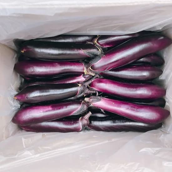 국내산 못난이 가지 2.5kg 1박스 8,400원