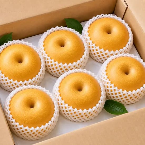 담과원 국내산 햇 배 특품 10-15과 5kg 1박스