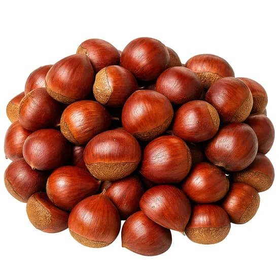 이모뜰 국내산 햇 알밤, 5kg, 1개