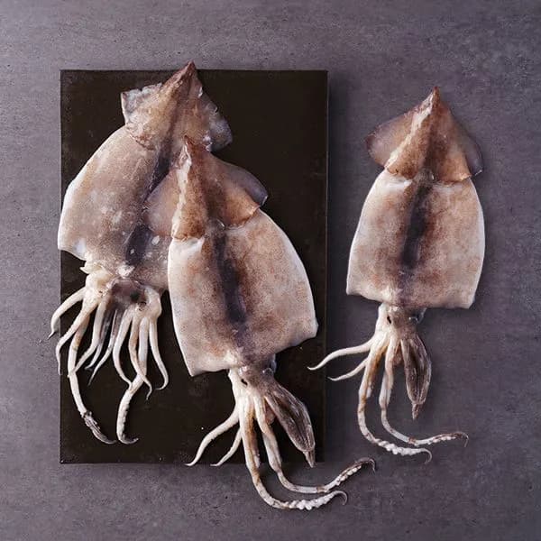 오바다 손질오징어 3미 450g