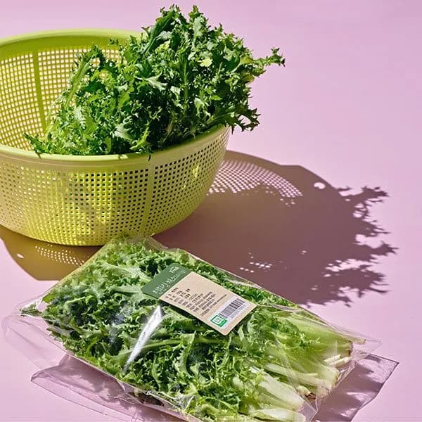 유기농 치커리 100g 2봉