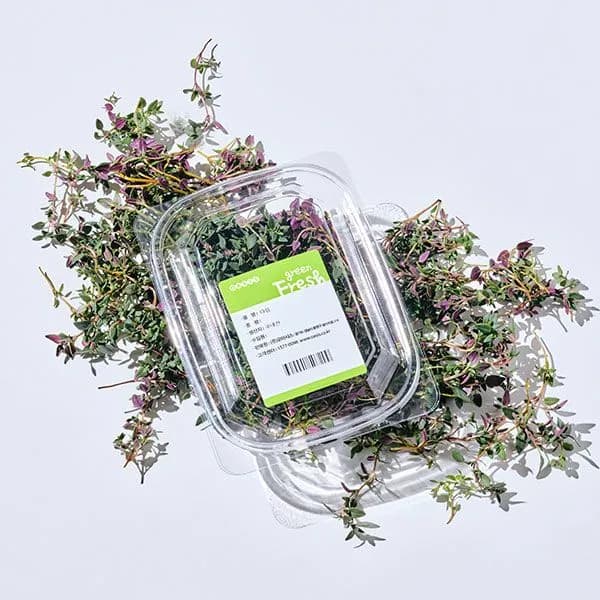 국내산 타임 10g 3개 4,800원