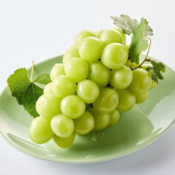 저탄소 샤인머스캣 500g 1개