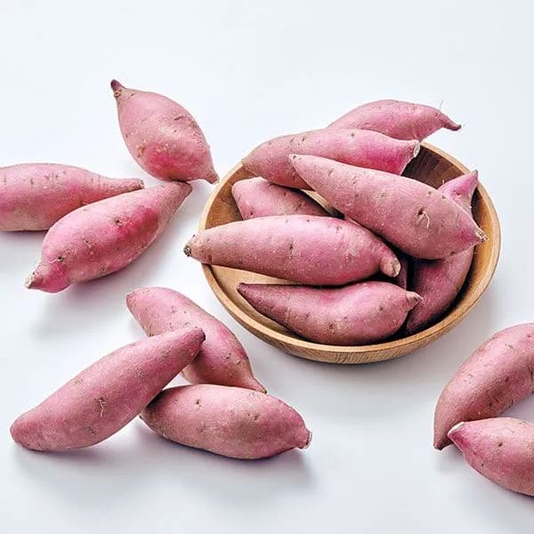 국내산 햇 세척 밤고구마 1.5kg 내외 1개 8,980원