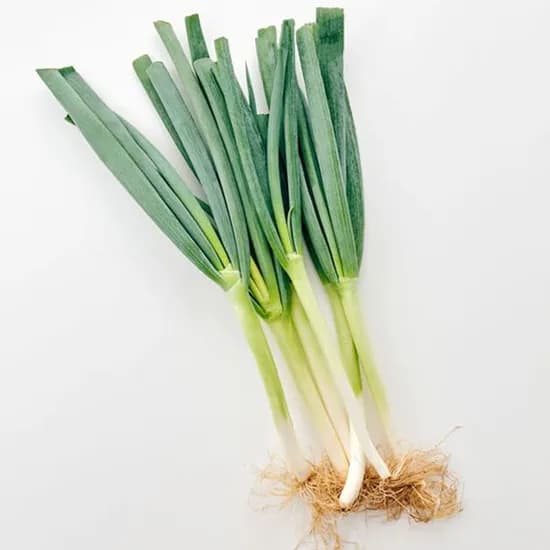국내산 흙대파 750g 1개