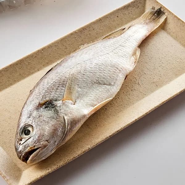제주 백조기 대형 350g 이상 1미