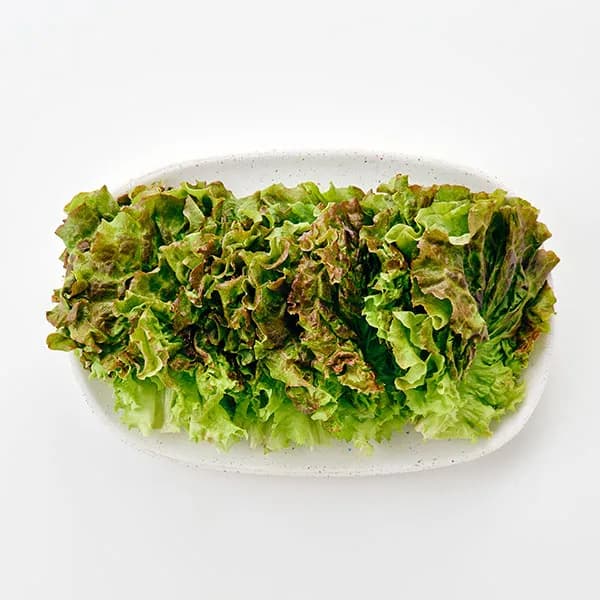 적상추 무농약 120g 1개 1,500원
