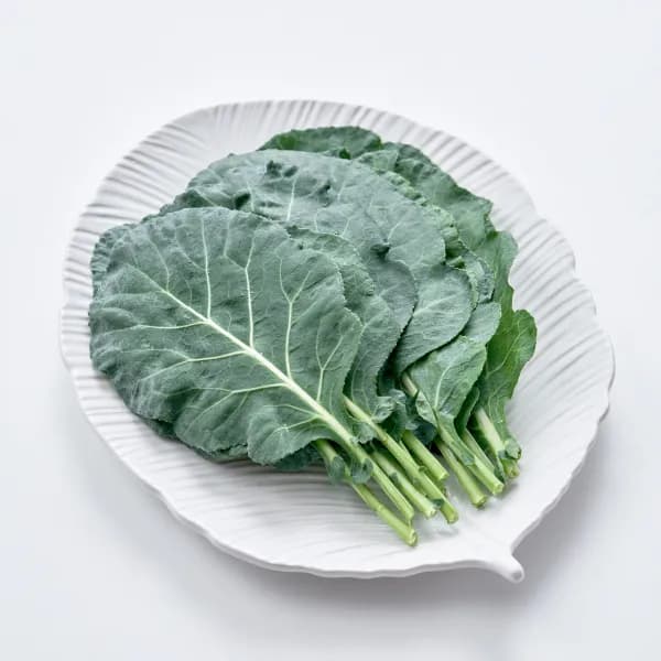 쌈케일 무농약 100g 1봉 1,970원