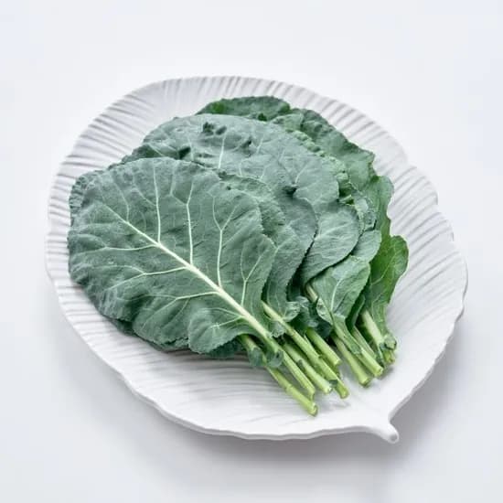 쌈케일 무농약 100g 2봉