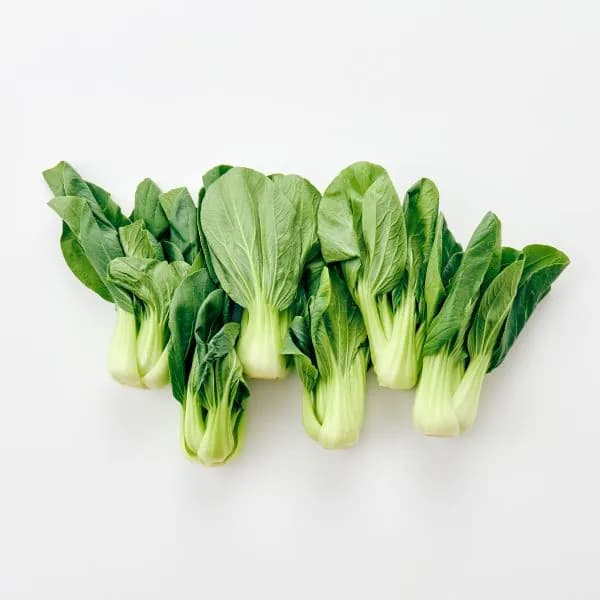 청경채 무농약 150g 1개 1,880원