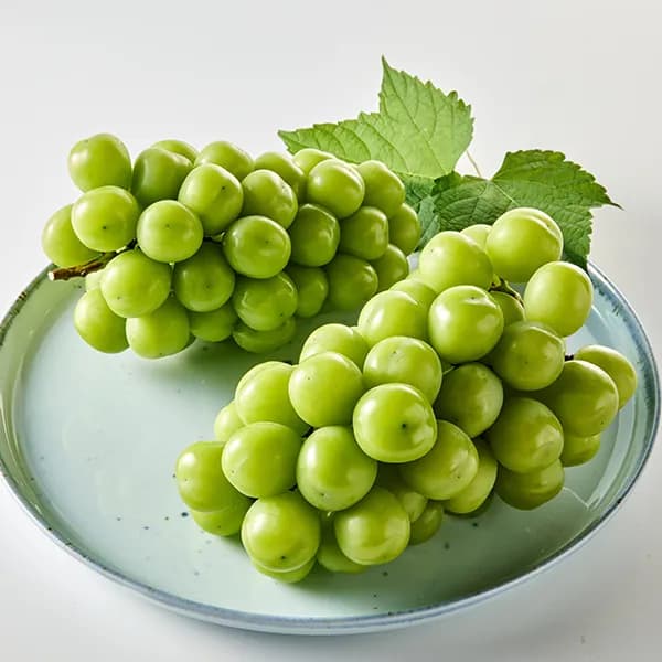 샤인머스캣 2~3수 1.5kg 1개 16,500원