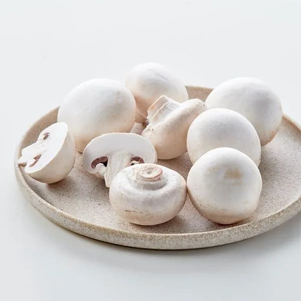 흰색 양송이버섯 100g 3개 10,200원