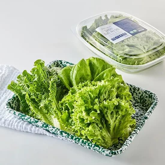 Farmfory 유러피안 쌈채소 모둠 GAP 무농약 120g 1개 3,600원