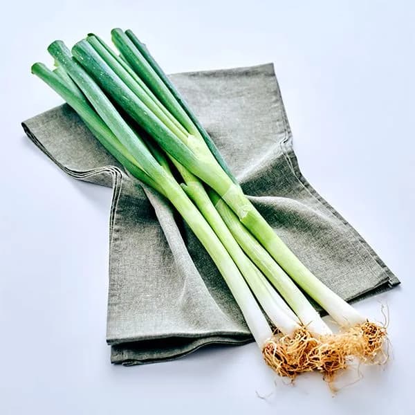 대파 무농약 500g 1개 3,280원
