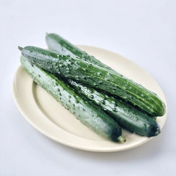국내산 취청오이 3입 450g 내외