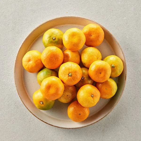 저탄소 하우스밀감 꼬마과 1kg
