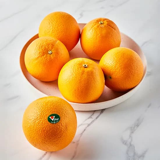 팜트리 호주산 오렌지 1.5kg 1개